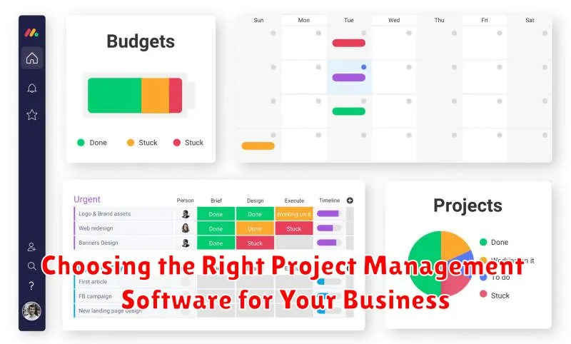 Choosing the Right Project Management Software for Your Business