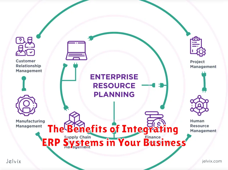 The Benefits of Integrating ERP Systems in Your Business