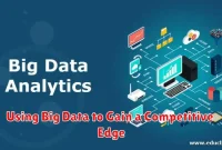 Using Big Data to Gain a Competitive Edge