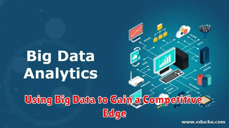 Using Big Data to Gain a Competitive Edge