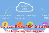 Why Cloud-Based CRM Is Essential for Growing Businesses